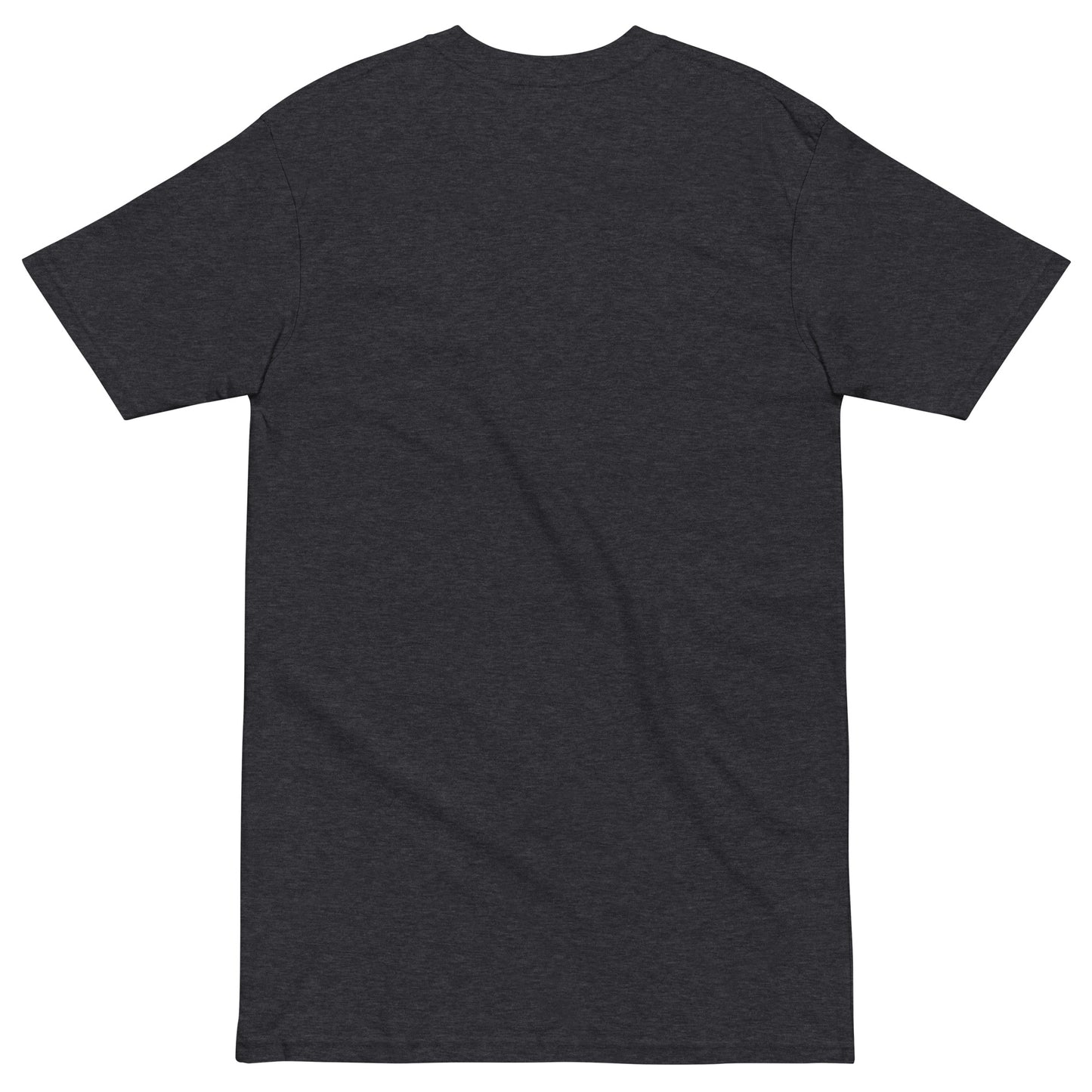 ** Pray ** Men’s premium T-shirt